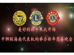 【狮子会新闻】中狮联海南代表机构举办新年慈善晚会